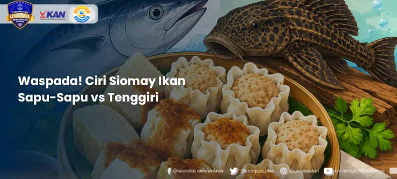 Waspada!_Ciri_Siomay_Ikan_Sapu-Sapu_vs_Tenggiri.webp