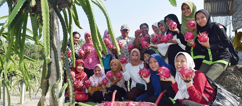 student-of-the-faculty-of-biology-uma-fieldtrip-to-the-dragon-fruit-garden-pondok-o.jpg